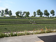 Western Michigan [2009] 226